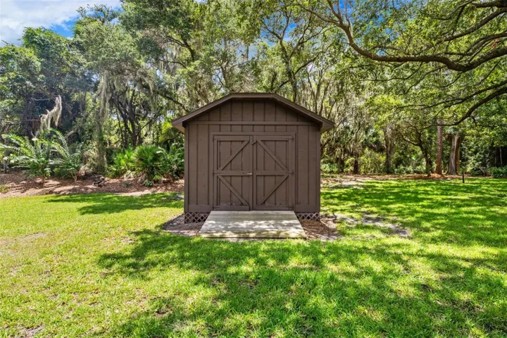 Shed