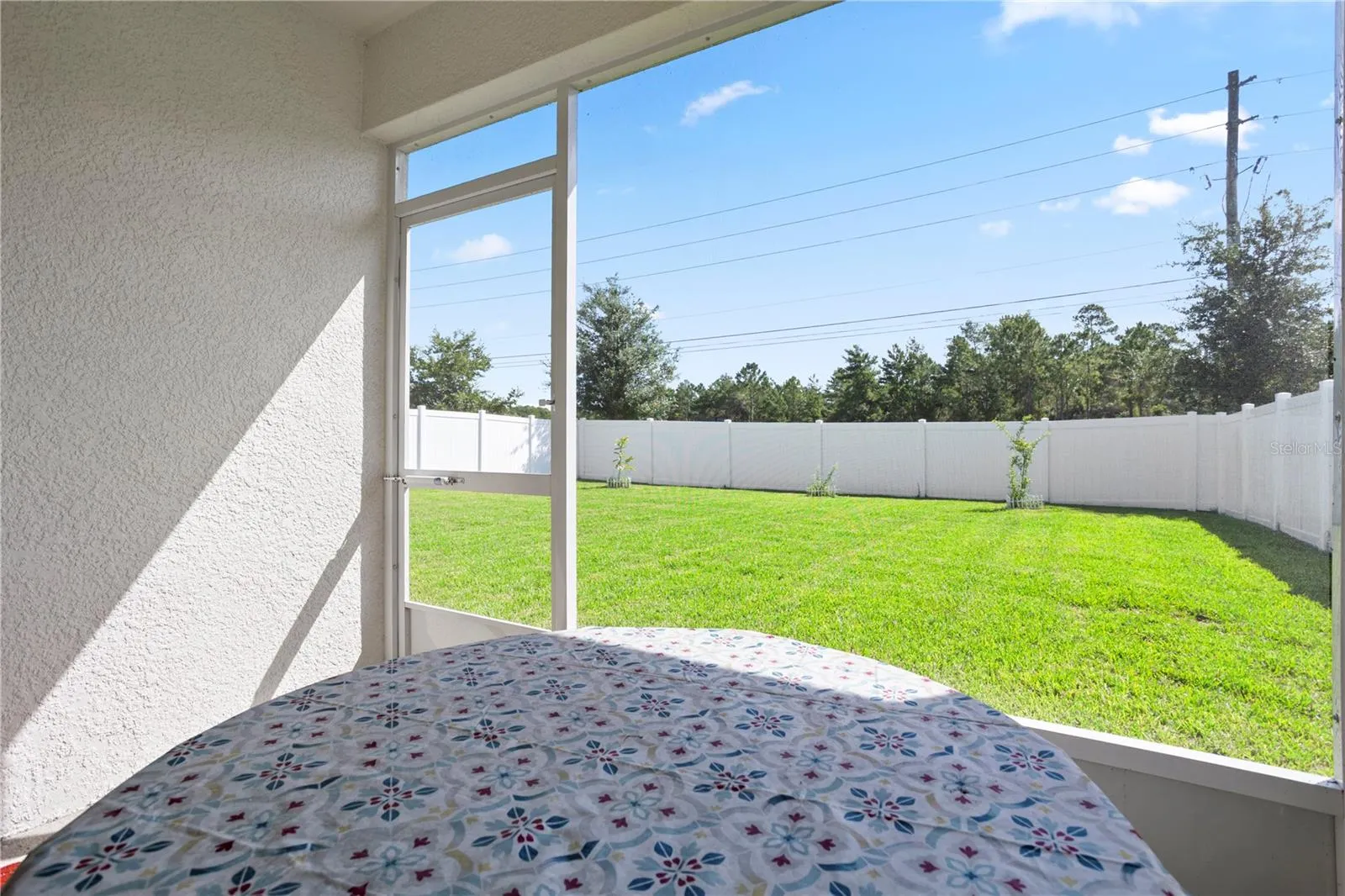 Back Patio