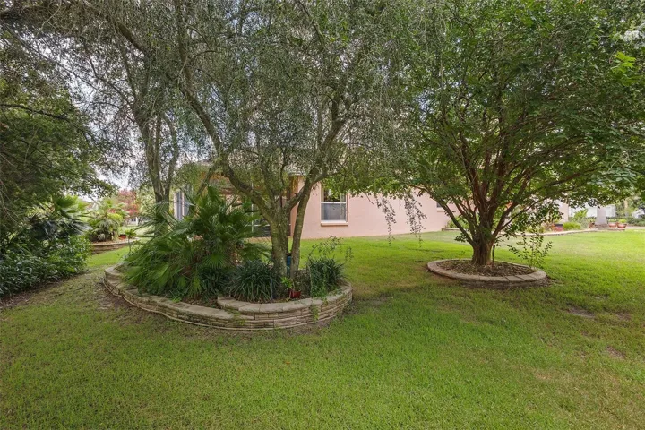 rear XL yard
