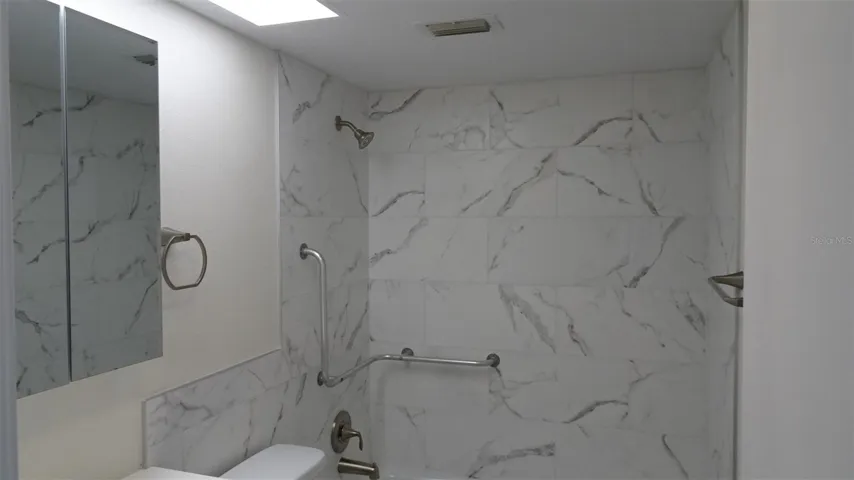 Fancy wall plus grab bars