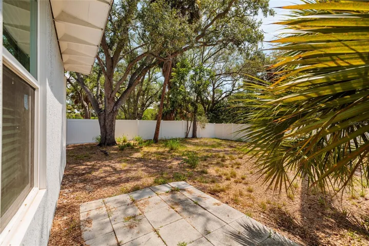 Patio deck, back yard