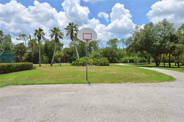 Community Basketball Hoop