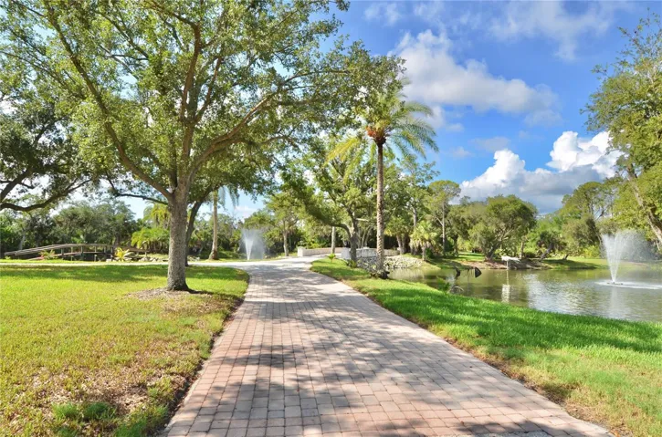 Left Side Driveway