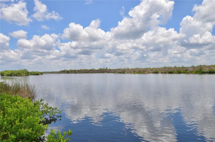 Myakka River