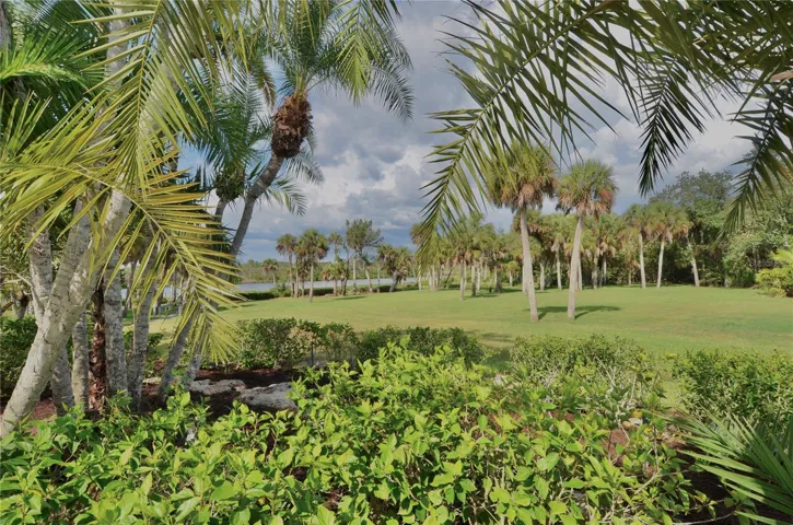 Backyard View