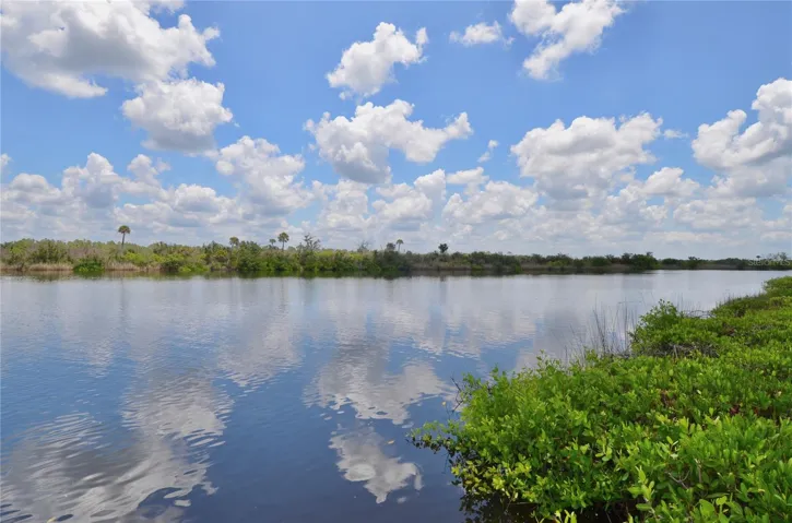 Myakka River