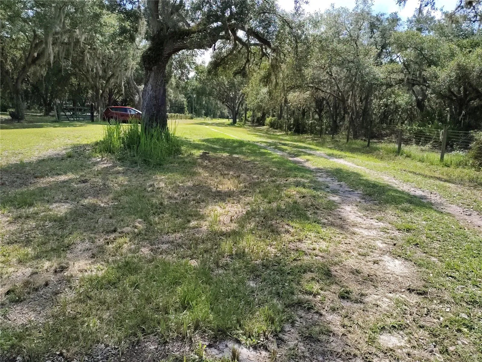 Yard