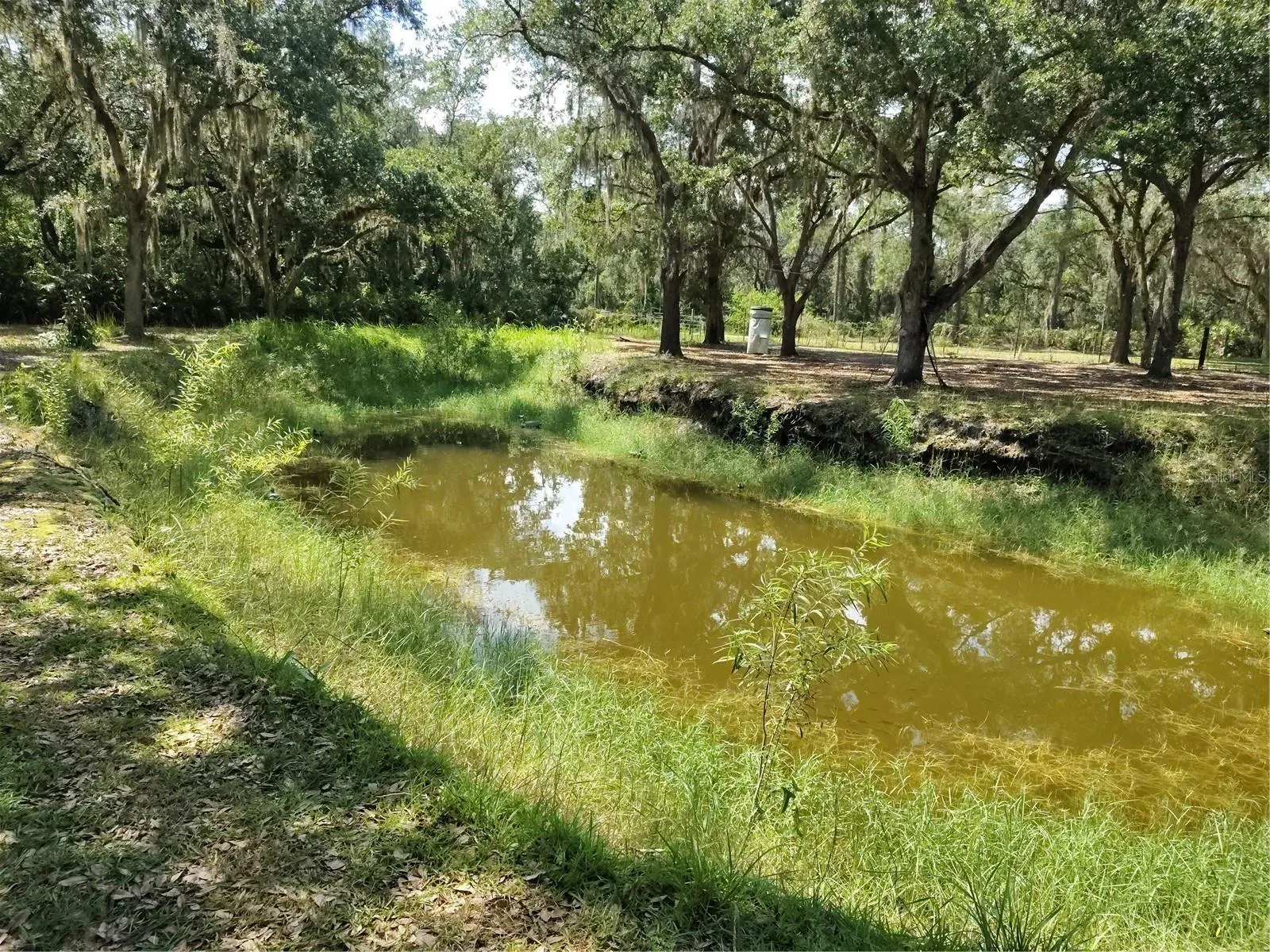 Stocked Pond