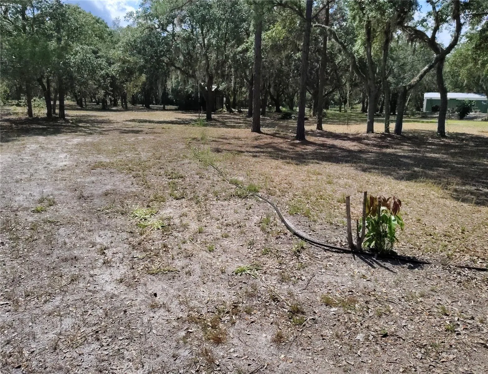 Yard