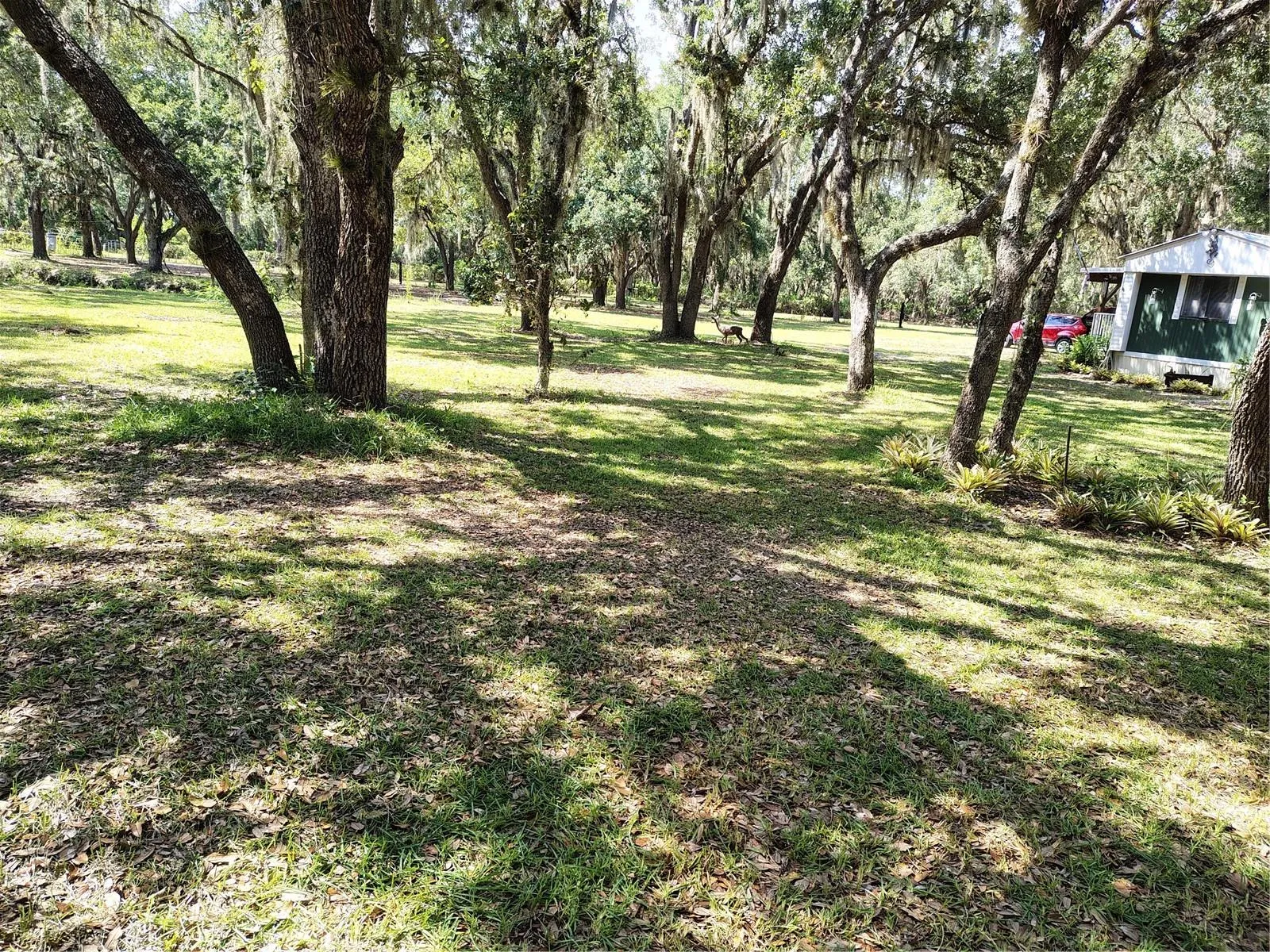 Yard