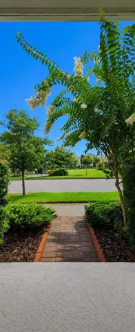View of Park from front door