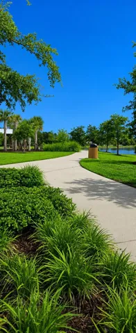 Walking trails - view 1