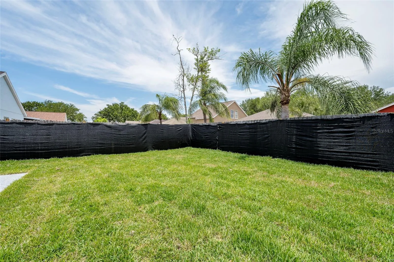 Back Yard View