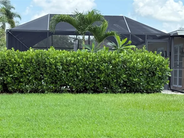 Privacy hedge