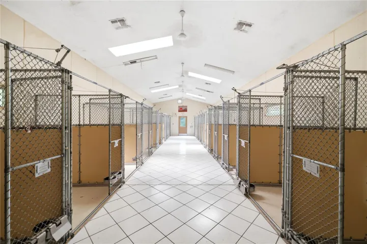 Chain-link Kennel Runs