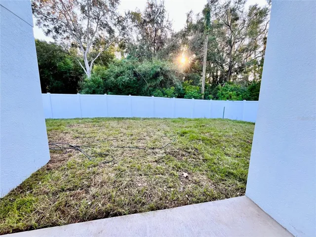 Back Yard