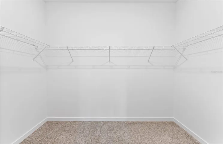Owner's Walk-in Clsoet