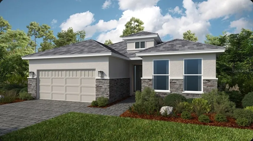 Monte Rendering