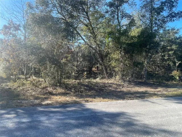 Looking west at the subject property