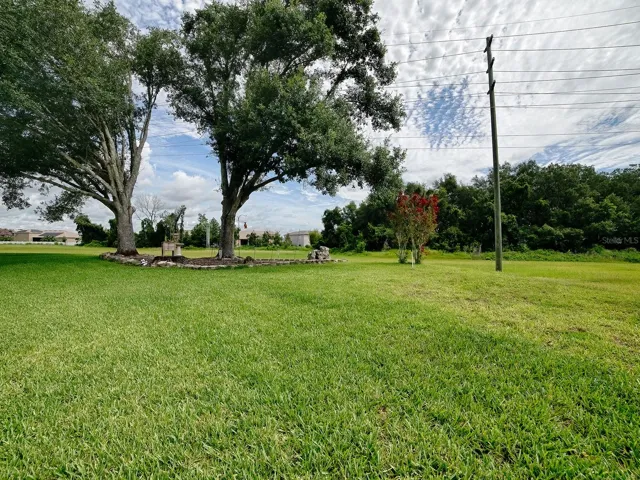 Check out your private backyard