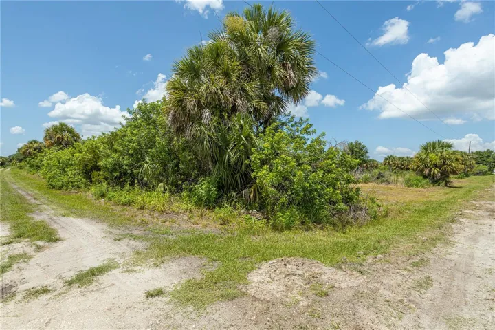 Property line on Austrian Blvd