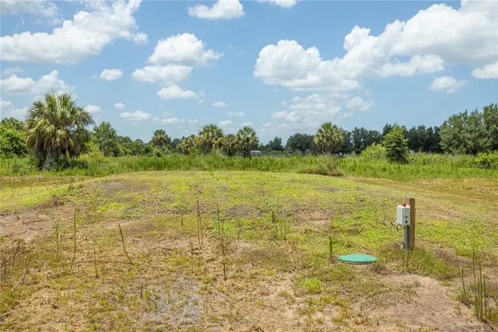 septic field