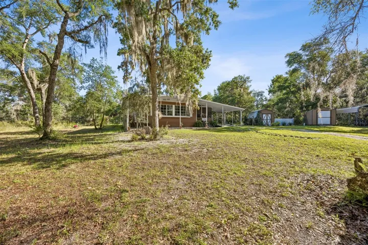 Front Yard