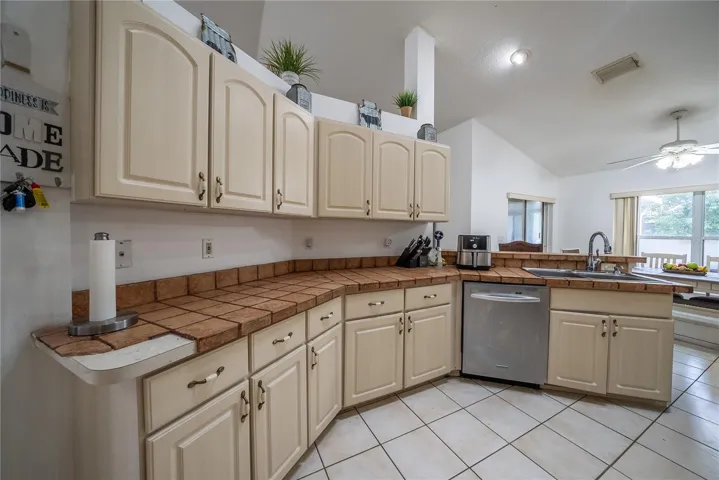 Kitchen Dish Washer