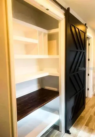 Pantry Barn Door