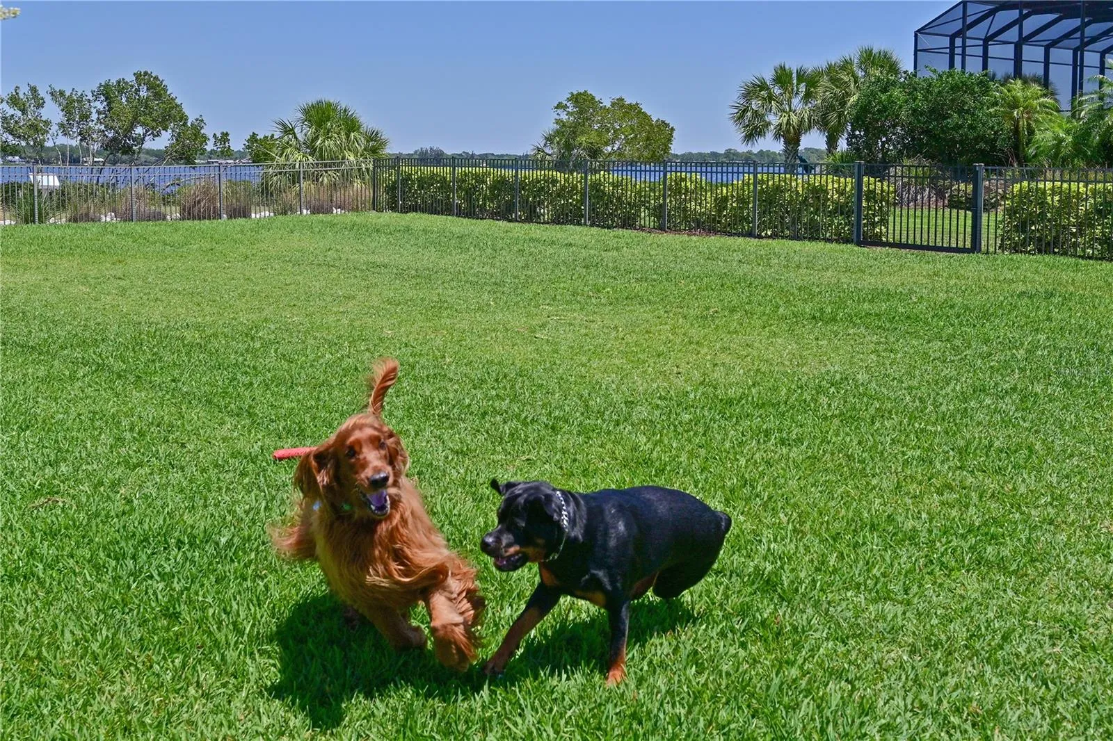 dog park and pet stations all throughout the neighborhood
