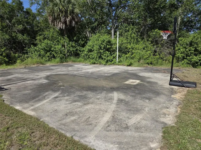 Basketball Court