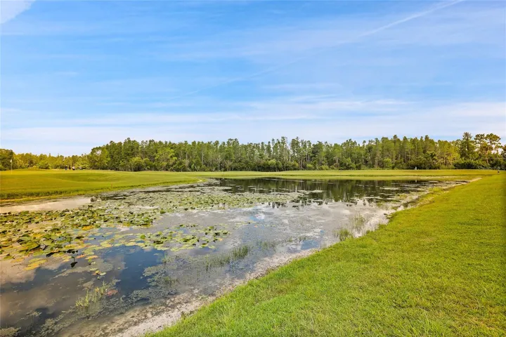 BACK YARD VIEW OF WATER AND GOLF COURSE