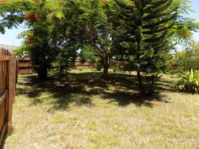 Rear Yard 3