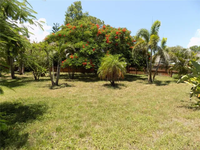 Great Back Yard