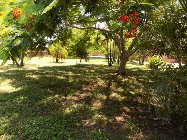 Rear Yard 2