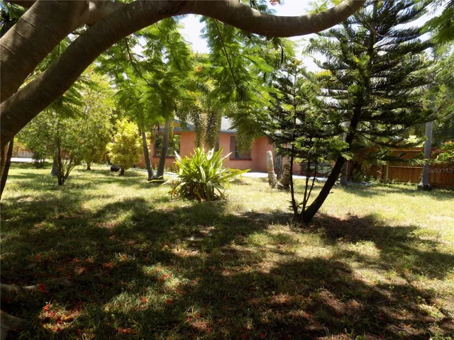 Rear Yard
