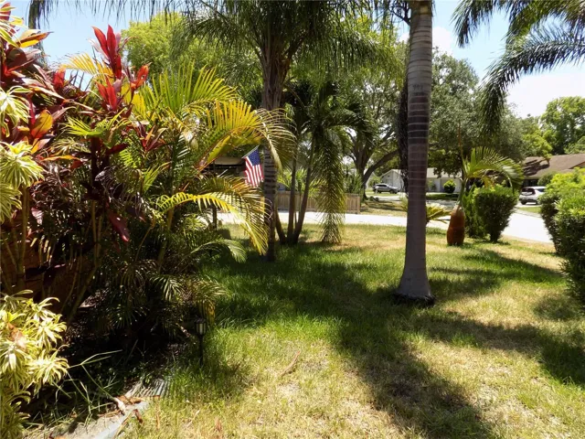 Front Mature Landscaping