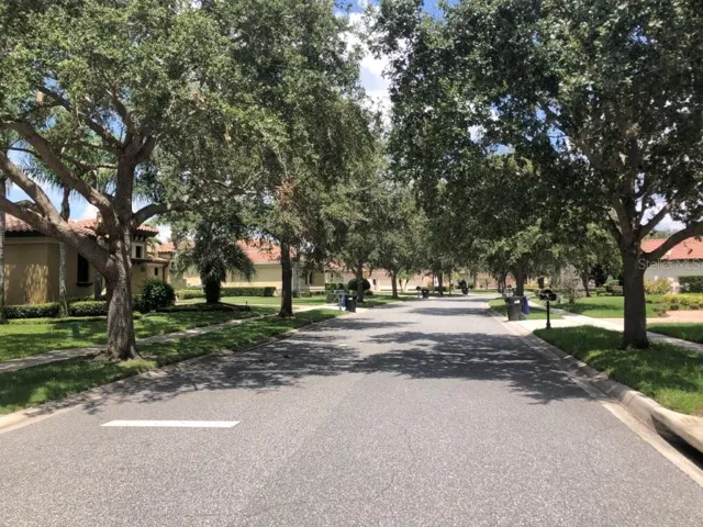 Street/neighborhood