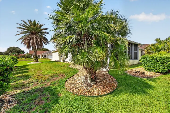 Large Corner Lot with ROOM FOR A POOL!