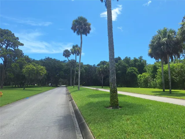 park like setting