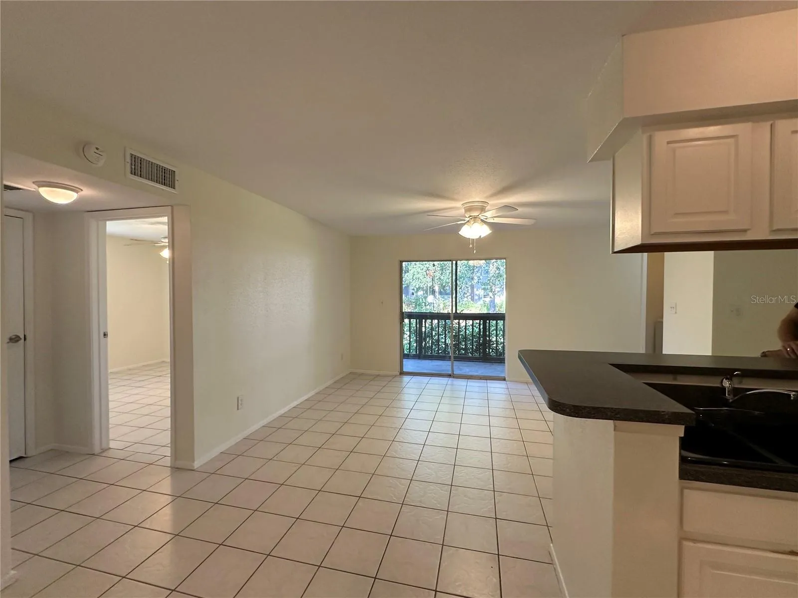 Living Room and Patio