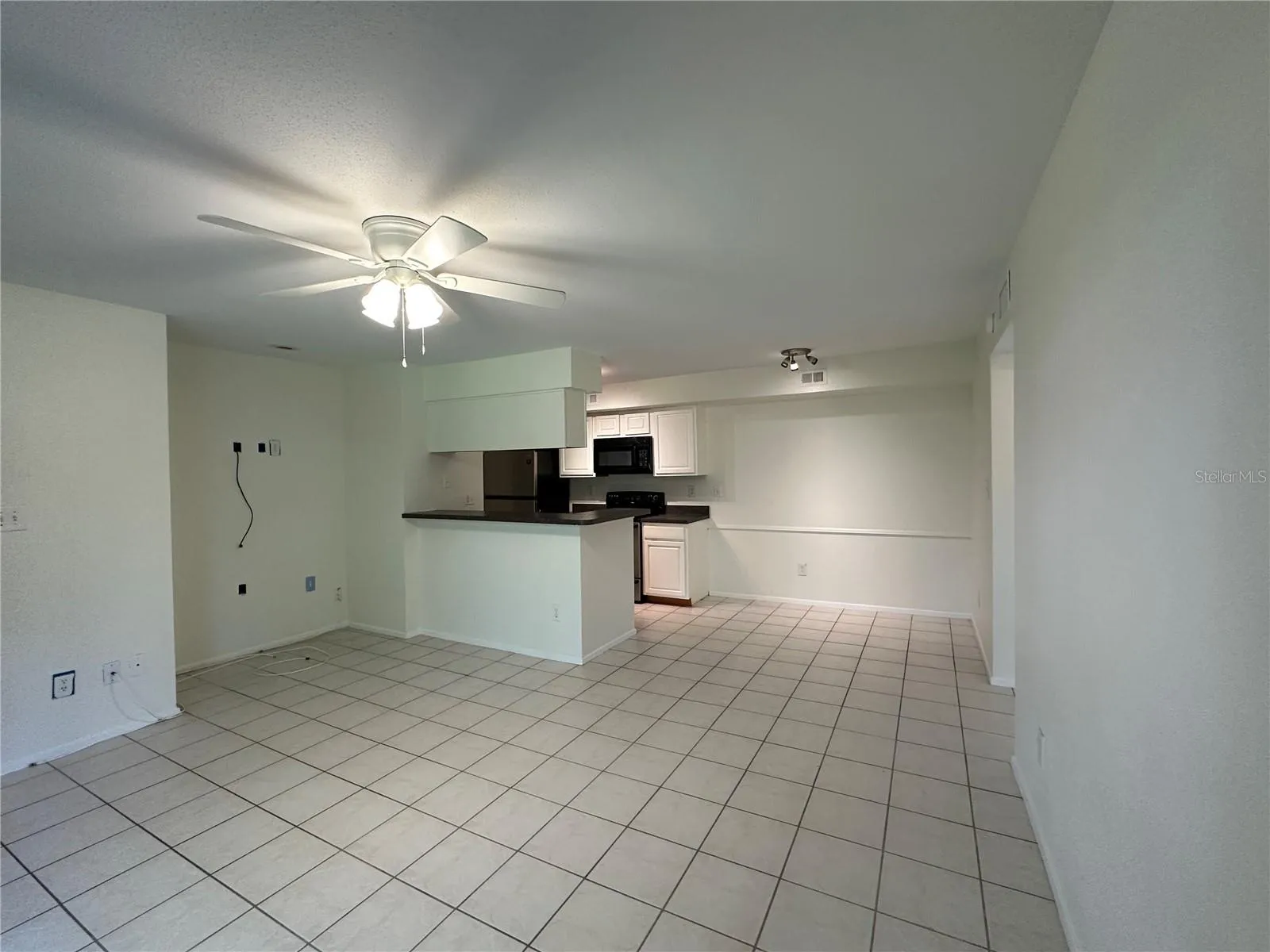 Living Room, Dining Room and Kitchen