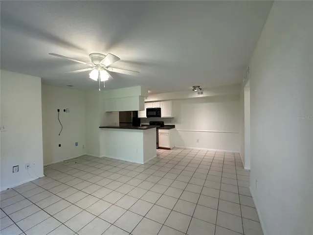 Living Room, Dining Room and Kitchen