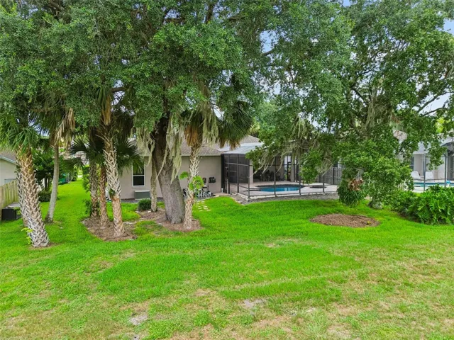 View of the backyard