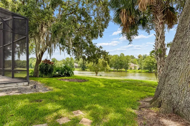 Another backyard view- hanging Staghorn fern stays with the home!