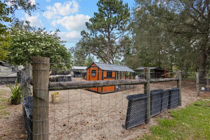 Chicken Coop