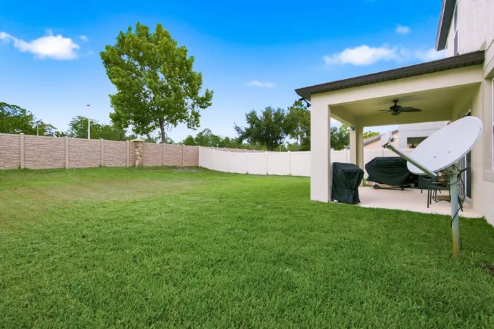 Spacious Yard