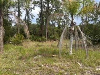 EASY TO CLEAR BUT ALSO PRUNE & KEEP MATURE TREES