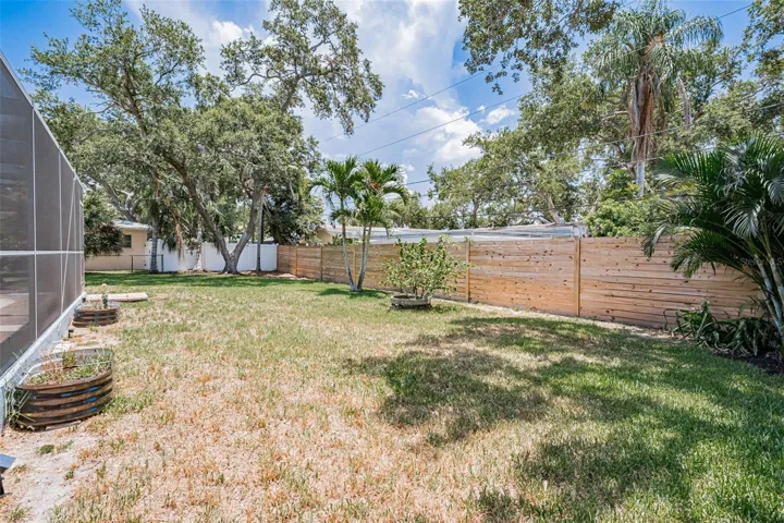 south side of back yard