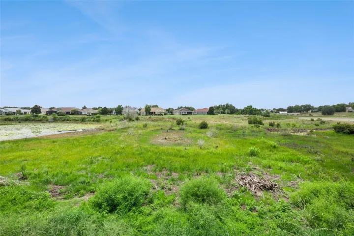 Backyard Conservation Views